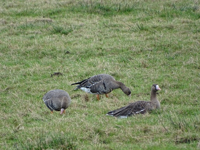 落选是一次 落选是一次